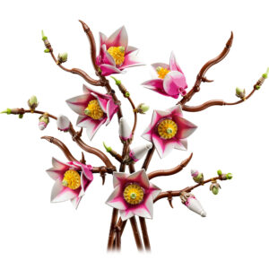 LEGO Botanicals - Rametti di Magnolia